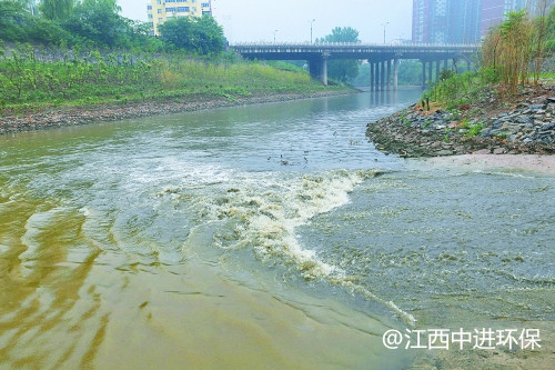 金觀察丨污水處理廠長(zhǎng)得像花園？探訪河南第一座新概念污水處理“樣板間”