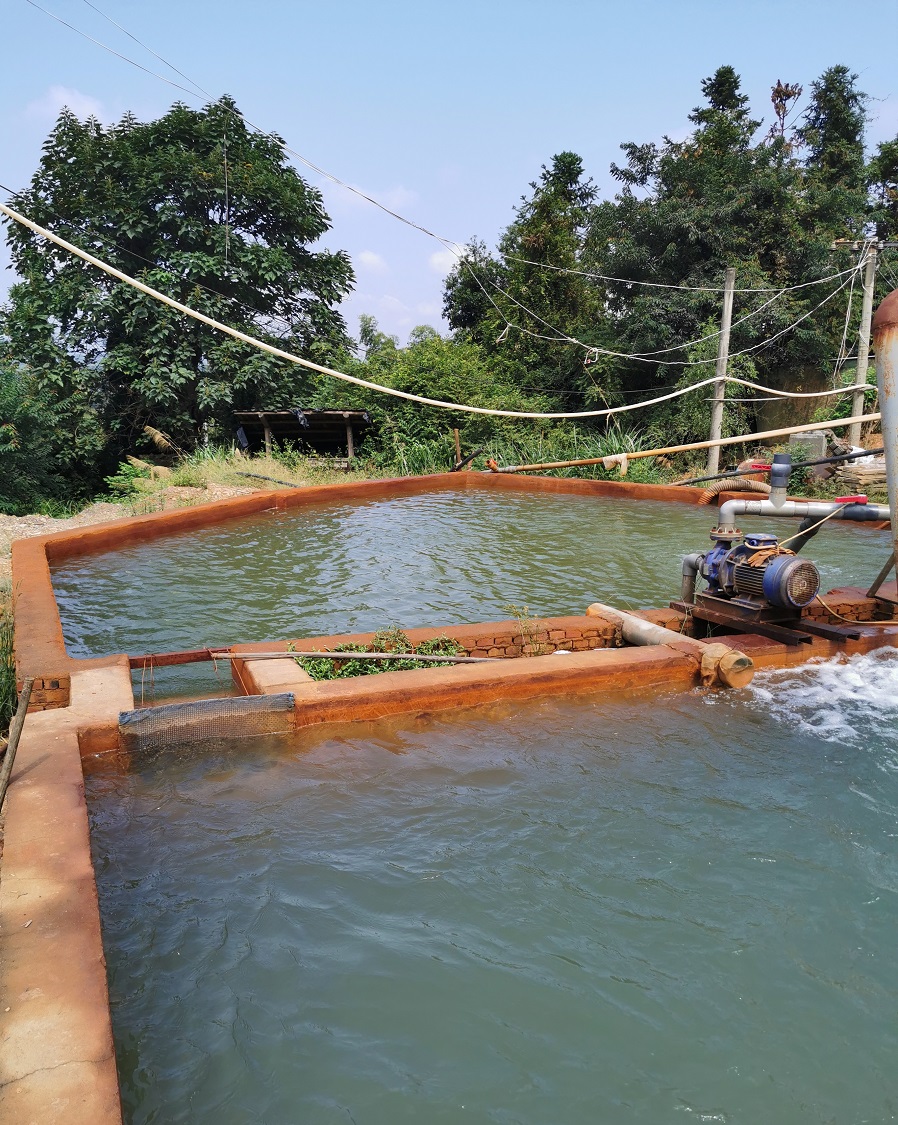 石油庫含油污水處理技術(shù)介紹